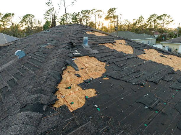 Best Sheet Metal Roofing  in Abita Springs, LA